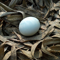 ��Ǯ���Բ����������������һ�������ָ���