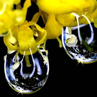 һ��¶��һ���磬Ψ�������Ӱ��Ʒ����