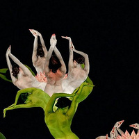 ���˶�Ŀһ�µ������ՖX