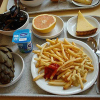 �����ʶ�����ѧ�ķ���