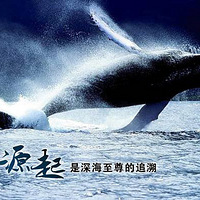 ��������E��֮�ã���ĸ߶������