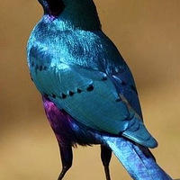 �� 3��ת��