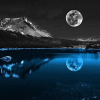 ��Щ�����ĳ�������