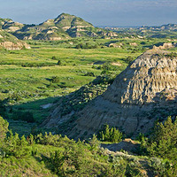 ������ѧ���������͵�ʮ����