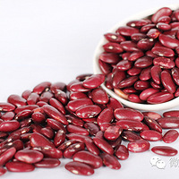 ����һ�����ⲻ��һ���޶���������