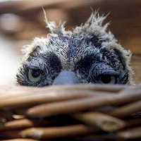 �ÿɰ��Ķ���