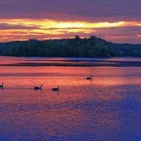 ���غ��� - ���׽ڿ��֣�