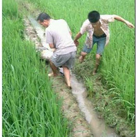 ϣ��͵���Ĺ���������Ϊ�� �ຣ���Ļ�ͷ�ǰ�