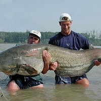 12 Reasons to say "Holy Sh*t"  !!!