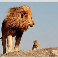 �ֱȣ�����ȥ����ѽ