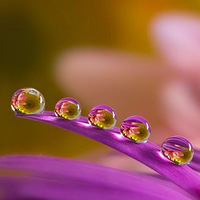 Miki Asai��ˮ����Ӱ