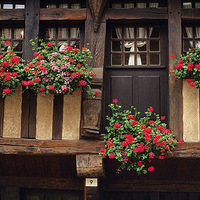 ����㿪���Ҵ�ǰ