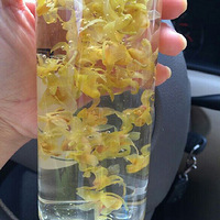 �ִ��˵�����