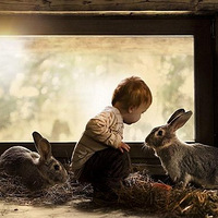 ���޺Ͷ������ܰʱ��