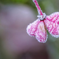 ���ֵ���֮�������ڴ���Ȼ�еİ�