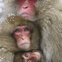 �����ǣ�ת��