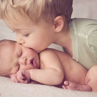 �������ɰ��ı���