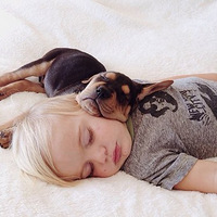 �����͹�������˯ʱ��