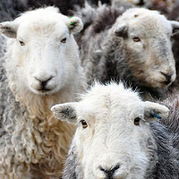 ����ת��