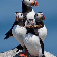 ���У�ת��