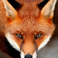 ����ת��