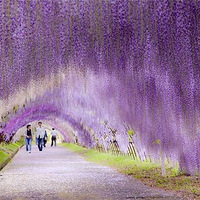 �������У��̵�������������20��������