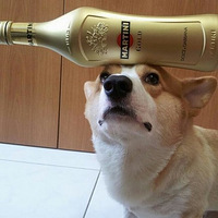 ��ƽ��һ�еĹ���