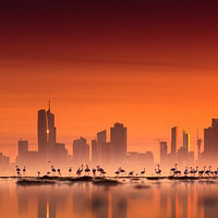 �����еı����羰