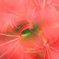 ����ɳ�����˰���