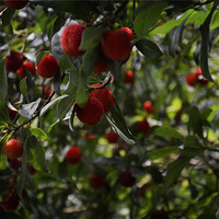 ��÷�� ���Ƶ������ӺóԿ��ļ�