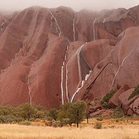 ���޺����������������ʯ�ϵ��ٲ�(������ͼ)