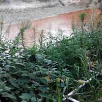 ����ʳΪ�죬��֪��������ˮ�ܺ���