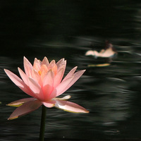 �ɻ�л�ˣ�һ��˯����������