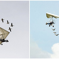 Ⱥ�콫������������ĸ�� ������ɻ�����