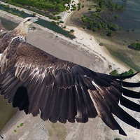 �����ӽǿ����� ���˻����ĵ�����������Ƭ(��ͼ)