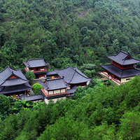 �����ɶ���⣨����