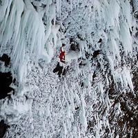 28�������ľ���������Ƭ ����һ����ϲ��(��ͼ)