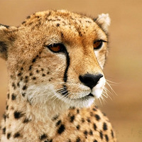 ����������47����˲�� ������һ��Ҫȥ(��ͼ)