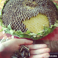 ��С2�Ӹ�Ц���ء�7��24�գ����ʻ����������:����һ��,����һ�