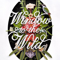 ���Ż��ݺ��߹�����������ʱ��