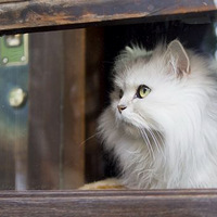 �����˵Ĺµ�ʱ�̣���֪�����ڵ�����