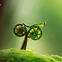 ����Щ��Ƭ����Ӱʦ������