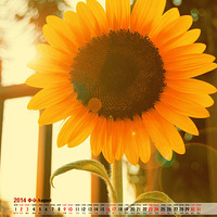 2014��8��������ֽ