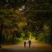 ������Ũʱ�����������������������