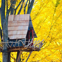 ɢ����������ص���ɫ����