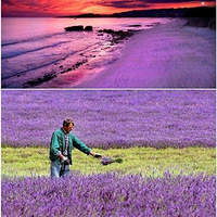 ��ȥ���ߣ�ȥ�������ɫ�ʰ�쵵�����