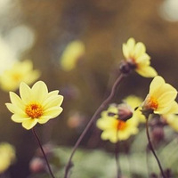 ����һ��̬�ȣ��������޹�