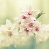 ����ܲ���ʱ�䣬���ܹ�������Լ�