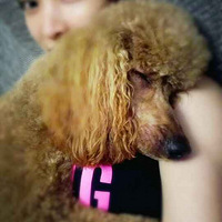 ���Ǳ�������԰�������������ˡ�������Ȼ�ڼ�������ʧ��