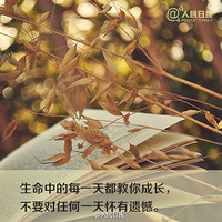 ��ã�����